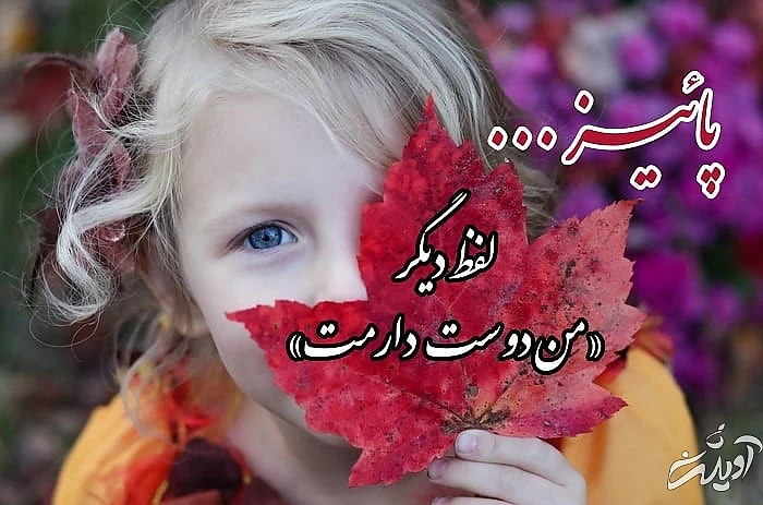 عشق و پاییز